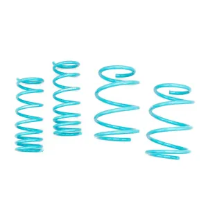 GodSpeed Traction S Lowering Springs Subaru Legacy (10-19) LS-TS-SU-0007
