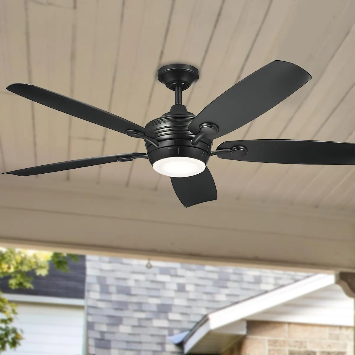 Tranquil Weather  56" LED Ceiling Fan
